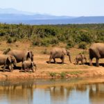 Unvergesslicher Erlebnisurlaub in Südafrika