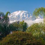 Wenigstens einmal im Leben zum Kilimandscharo